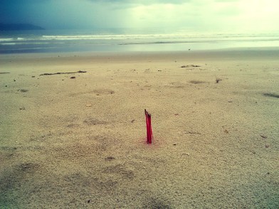 IMG_20151101_094500_edit